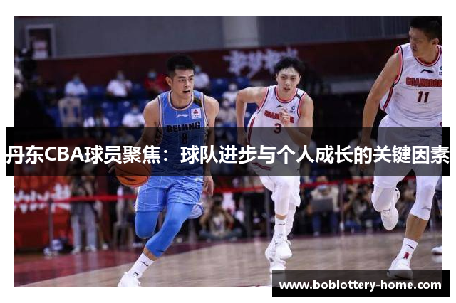 丹东CBA球员聚焦：球队进步与个人成长的关键因素